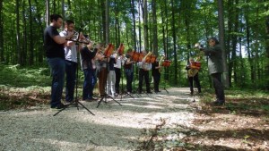 RF-WEI-Bl 228 Serchor-I-300x169 in 