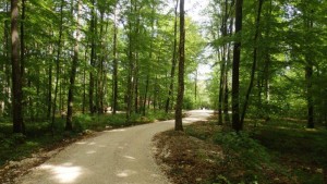 RF-WEI-Weg-300x169 in 