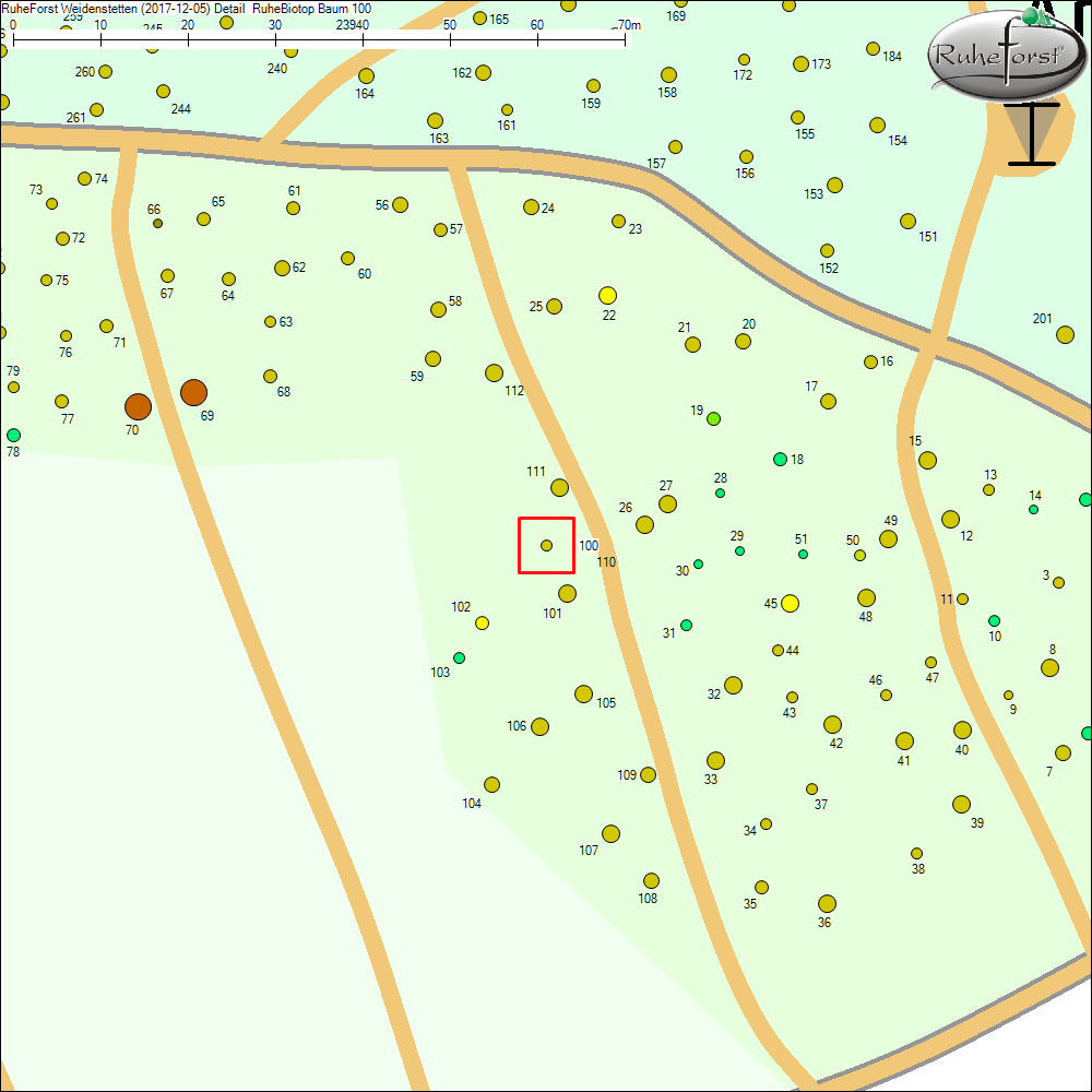Detailkarte zu Baum 100