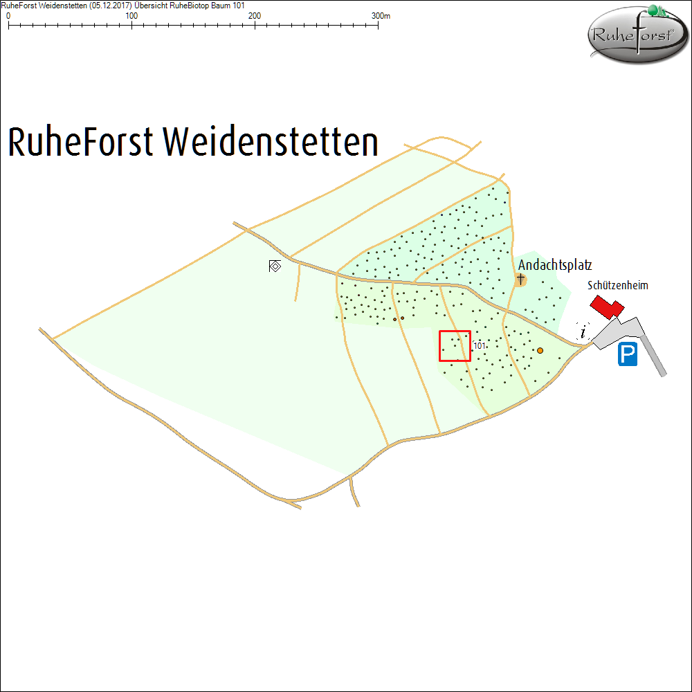 &Uuml;bersichtskarte zu Baum 101