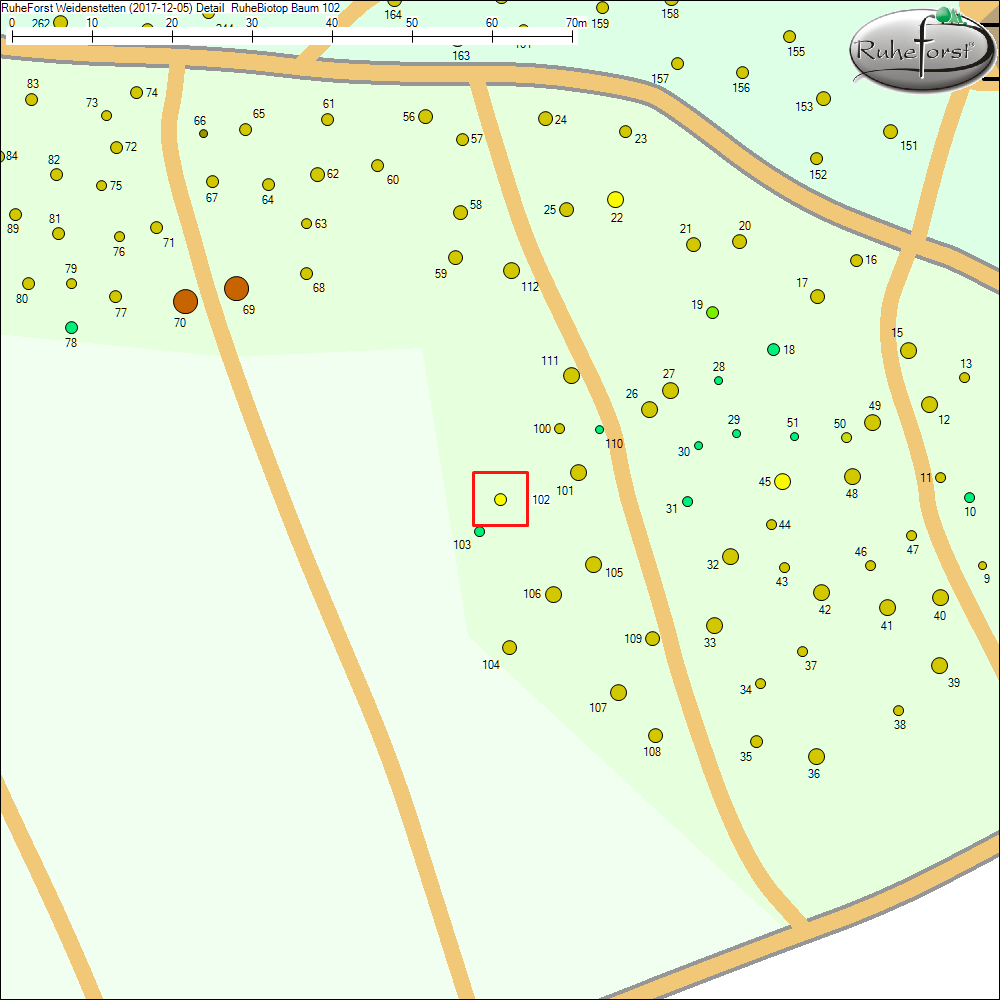 Detailkarte zu Baum 102