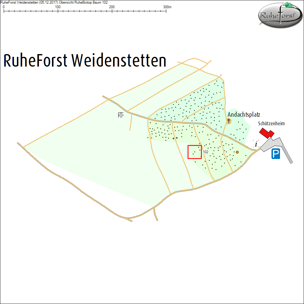 &Uuml;bersichtskarte zu Baum 102