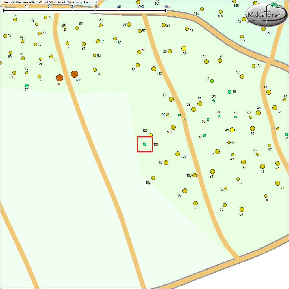 Detailkarte zu Baum 103