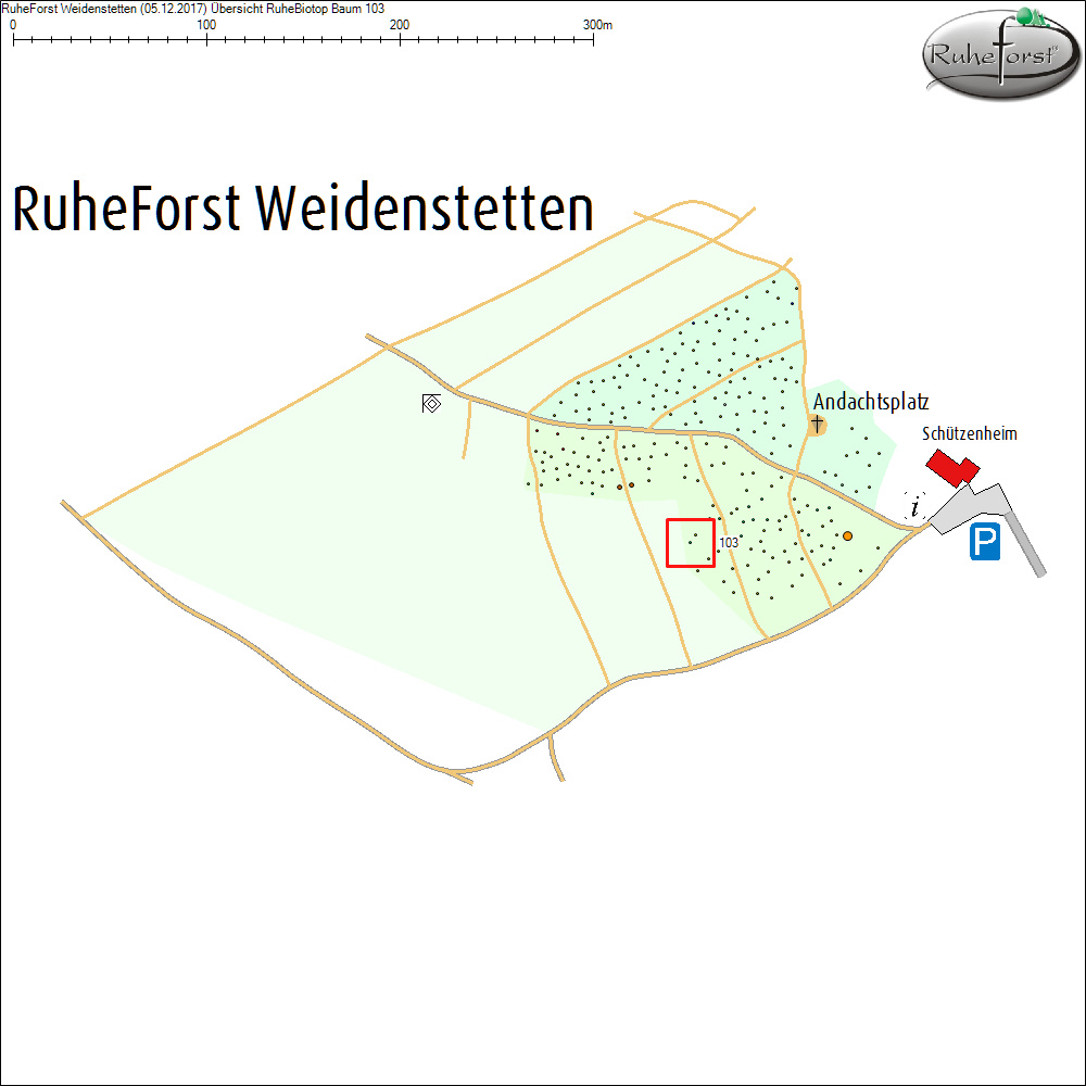 &Uuml;bersichtskarte zu Baum 103