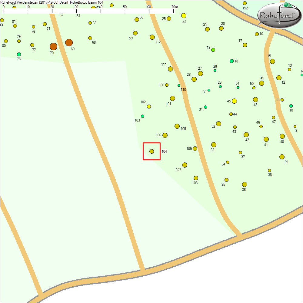 Detailkarte zu Baum 104