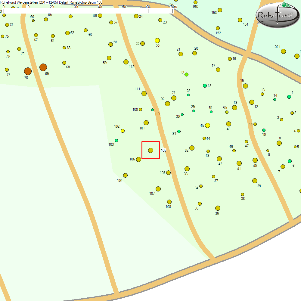Detailkarte zu Baum 105