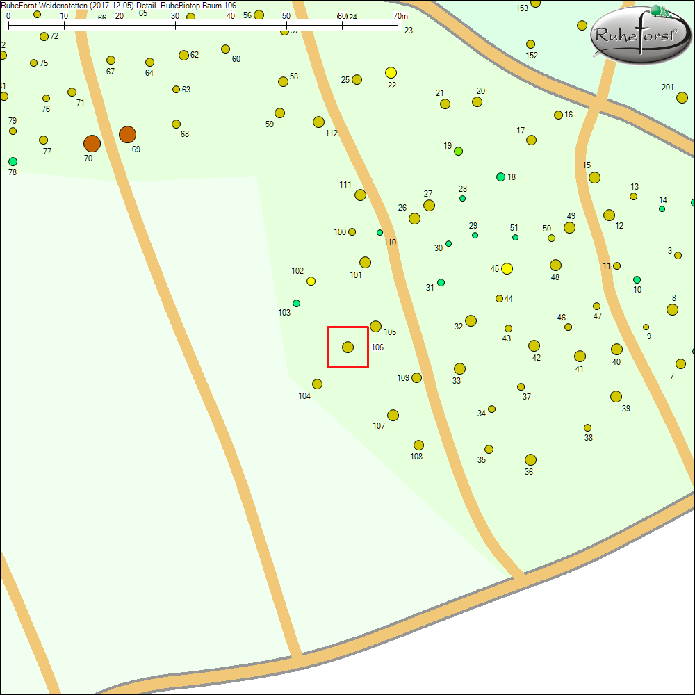 Detailkarte zu Baum 106