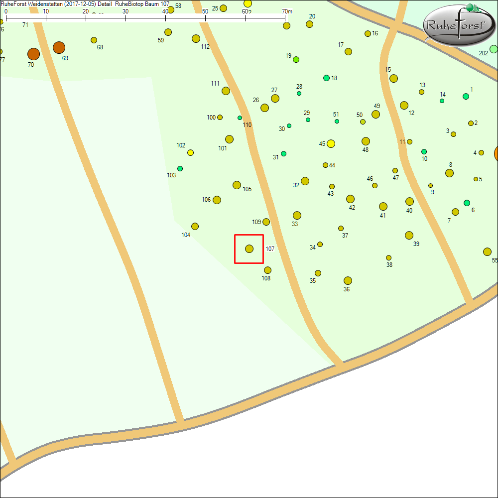 Detailkarte zu Baum 107