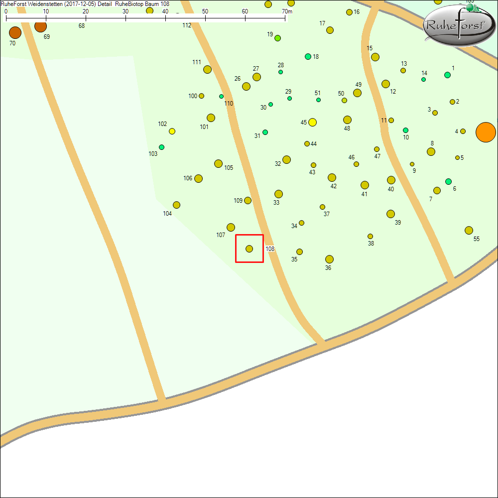 Detailkarte zu Baum 108