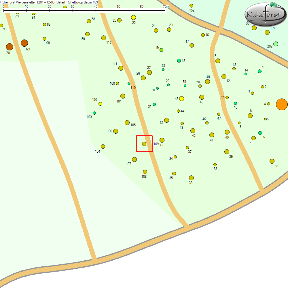 Detailkarte zu Baum 109
