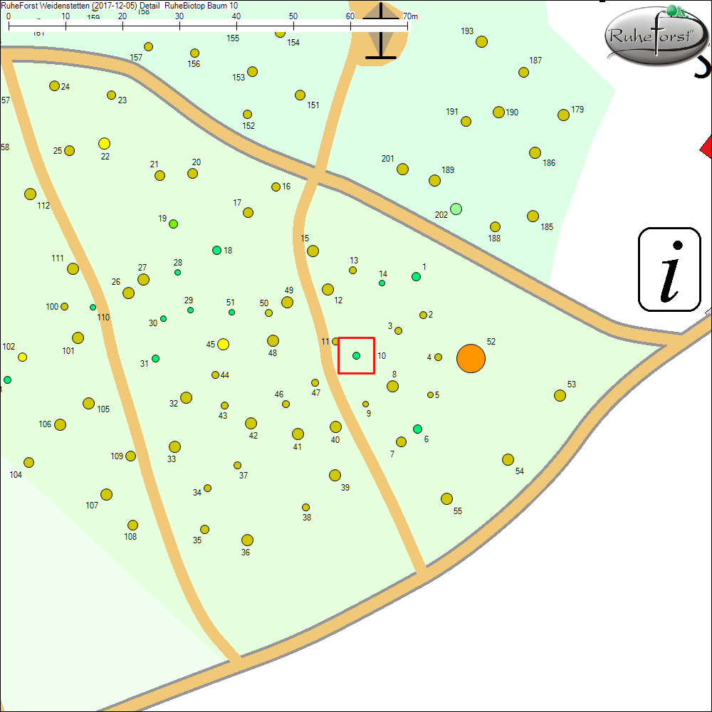 Detailkarte zu Baum 10