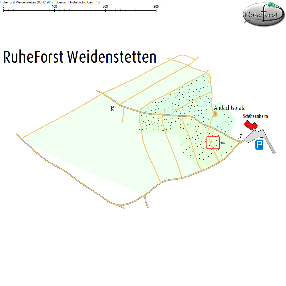 &Uuml;bersichtskarte zu Baum 10