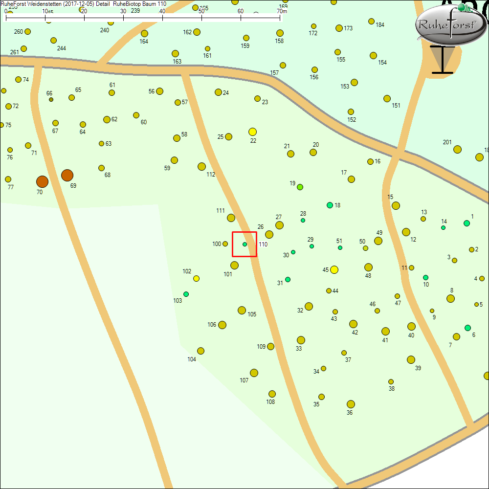 Detailkarte zu Baum 110