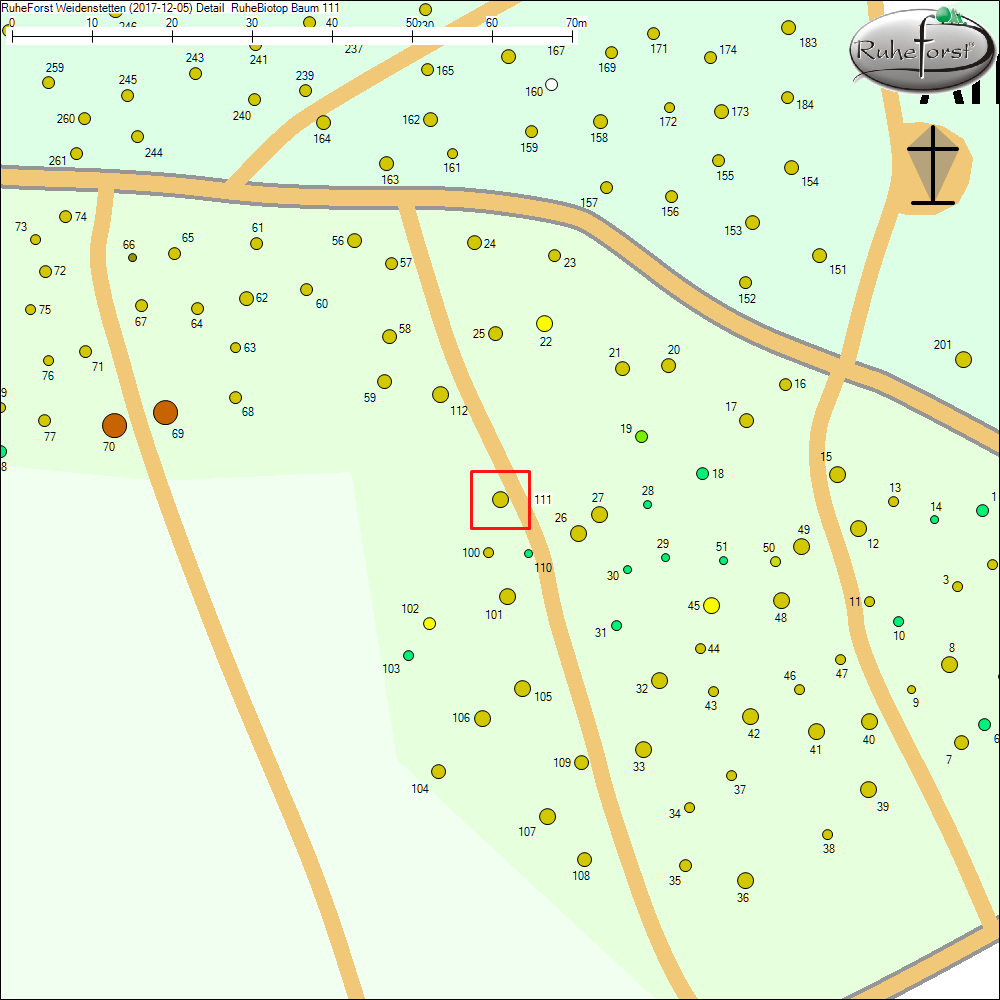 Detailkarte zu Baum 111
