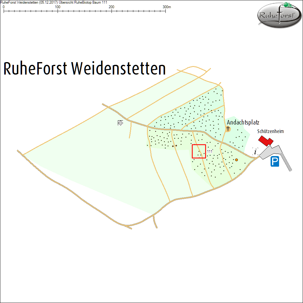 &Uuml;bersichtskarte zu Baum 111