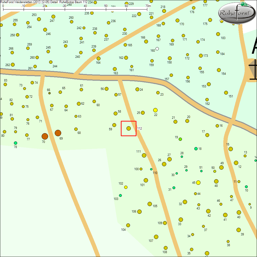 Detailkarte zu Baum 112