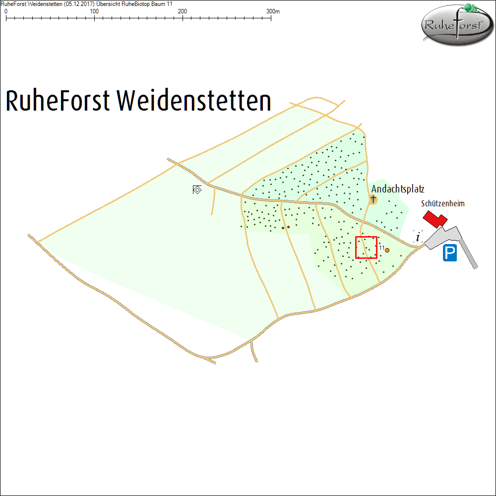 &Uuml;bersichtskarte zu Baum 11