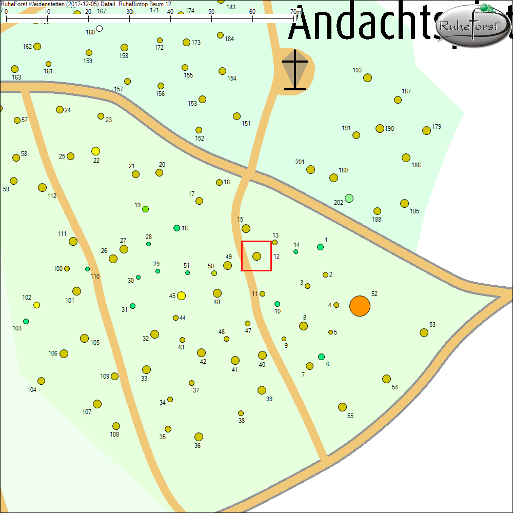 Detailkarte zu Baum 12