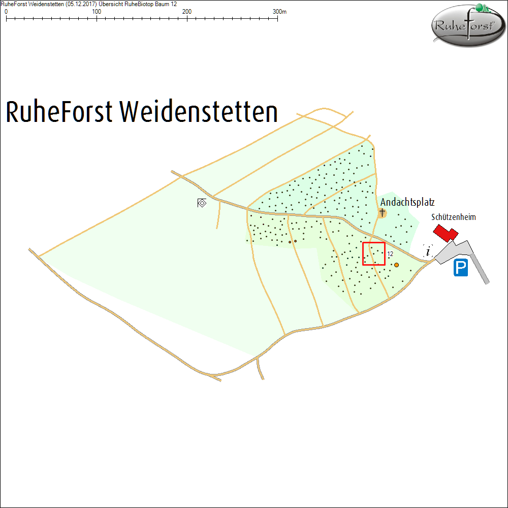 &Uuml;bersichtskarte zu Baum 12