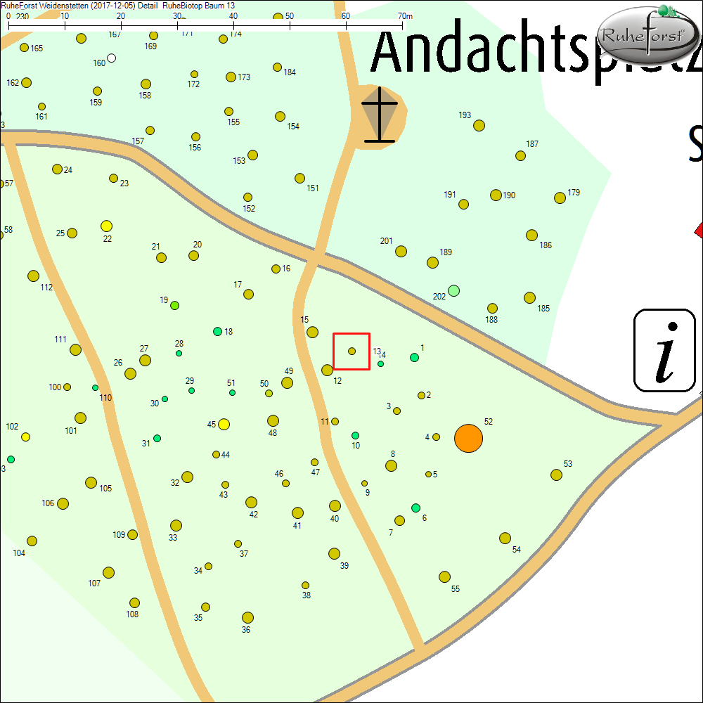Detailkarte zu Baum 13