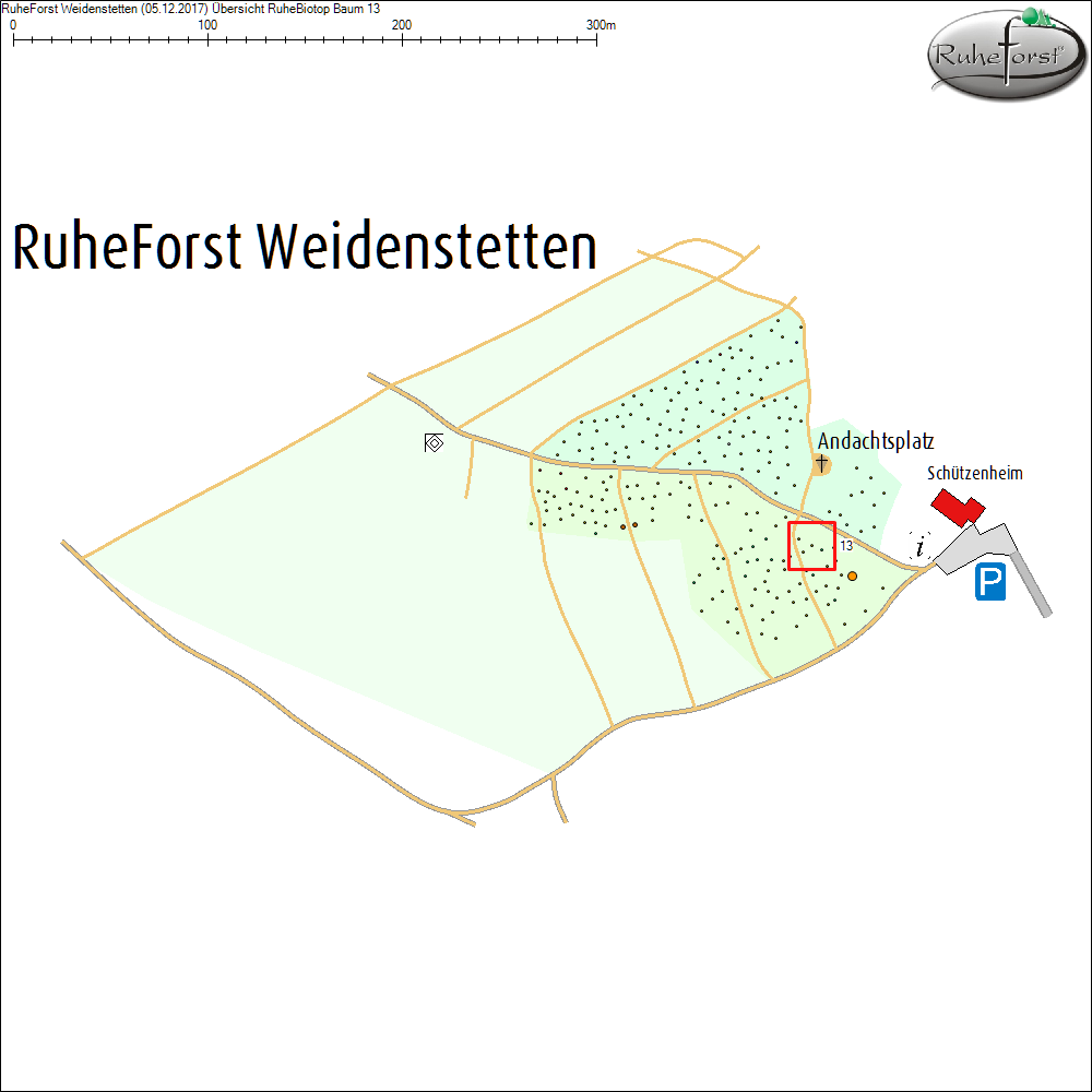 &Uuml;bersichtskarte zu Baum 13