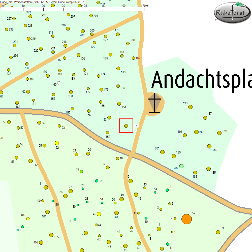 Detailkarte zu Baum 151