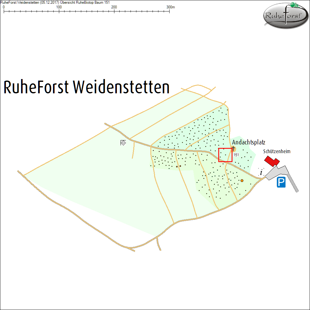 &Uuml;bersichtskarte zu Baum 151