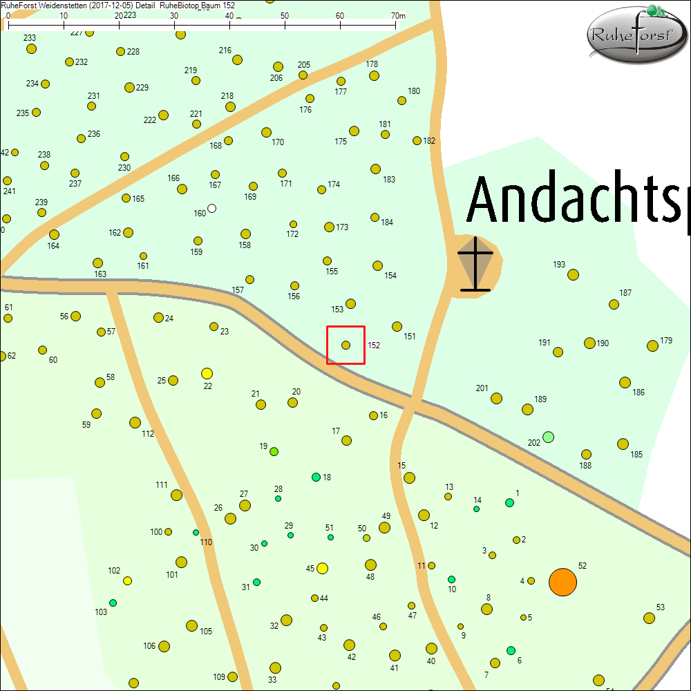 Detailkarte zu Baum 152