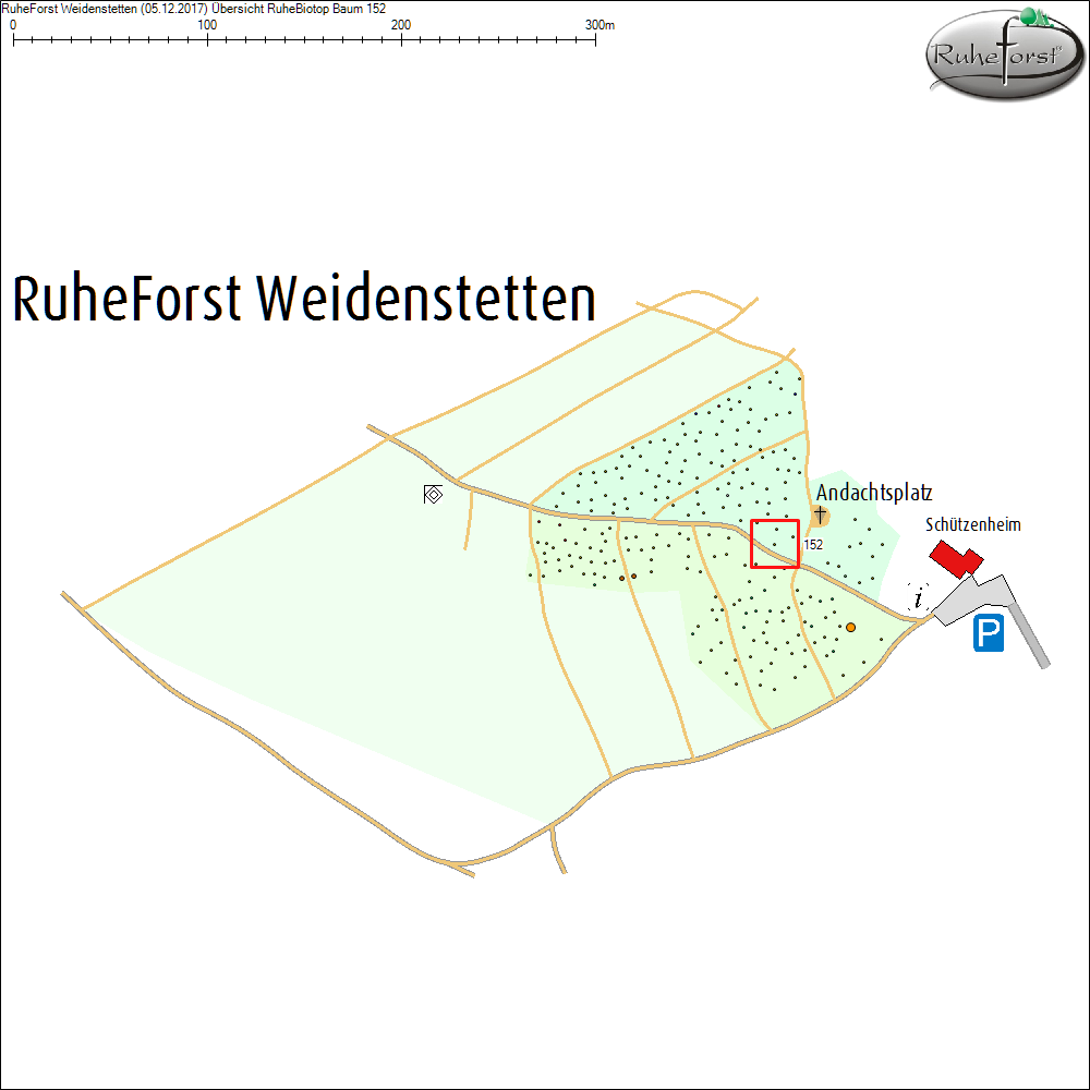 &Uuml;bersichtskarte zu Baum 152