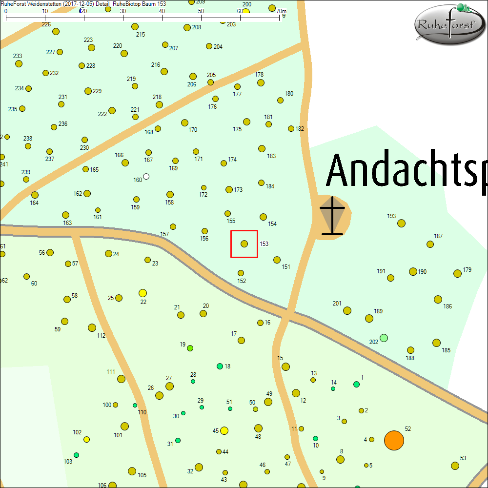 Detailkarte zu Baum 153