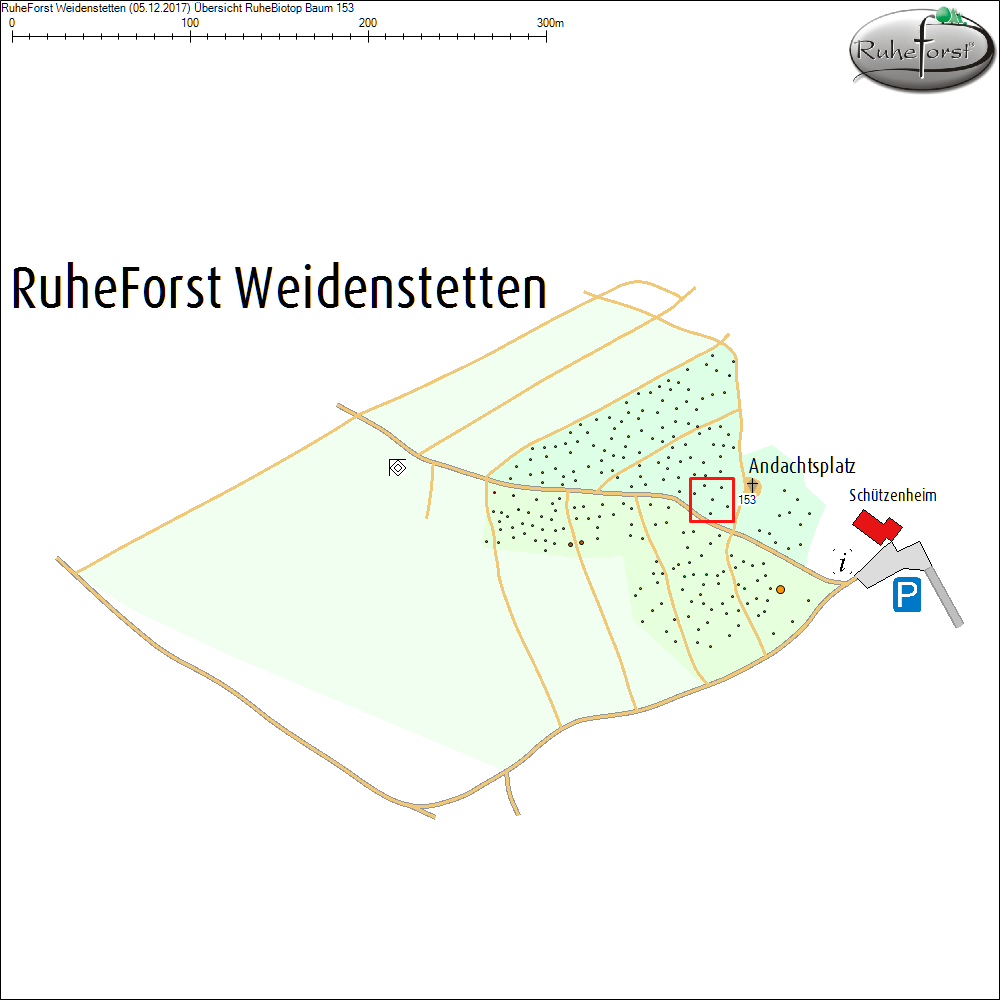 &Uuml;bersichtskarte zu Baum 153