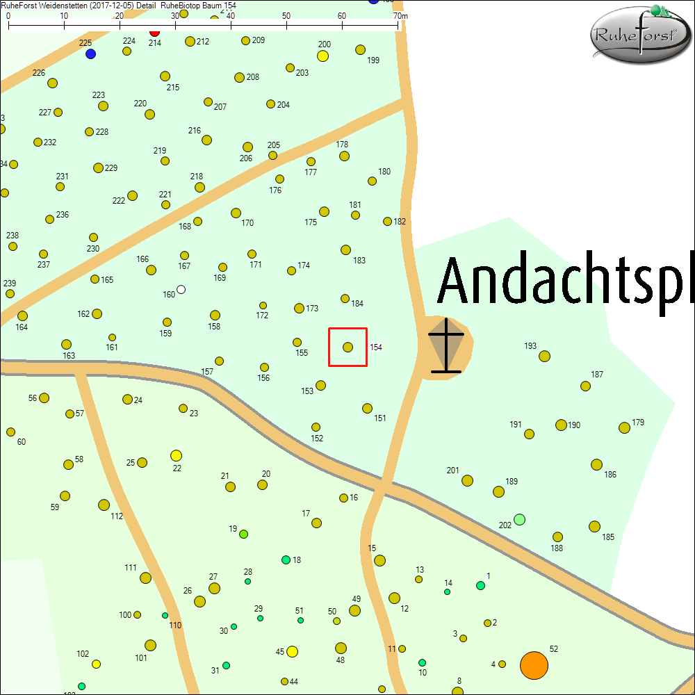 Detailkarte zu Baum 154