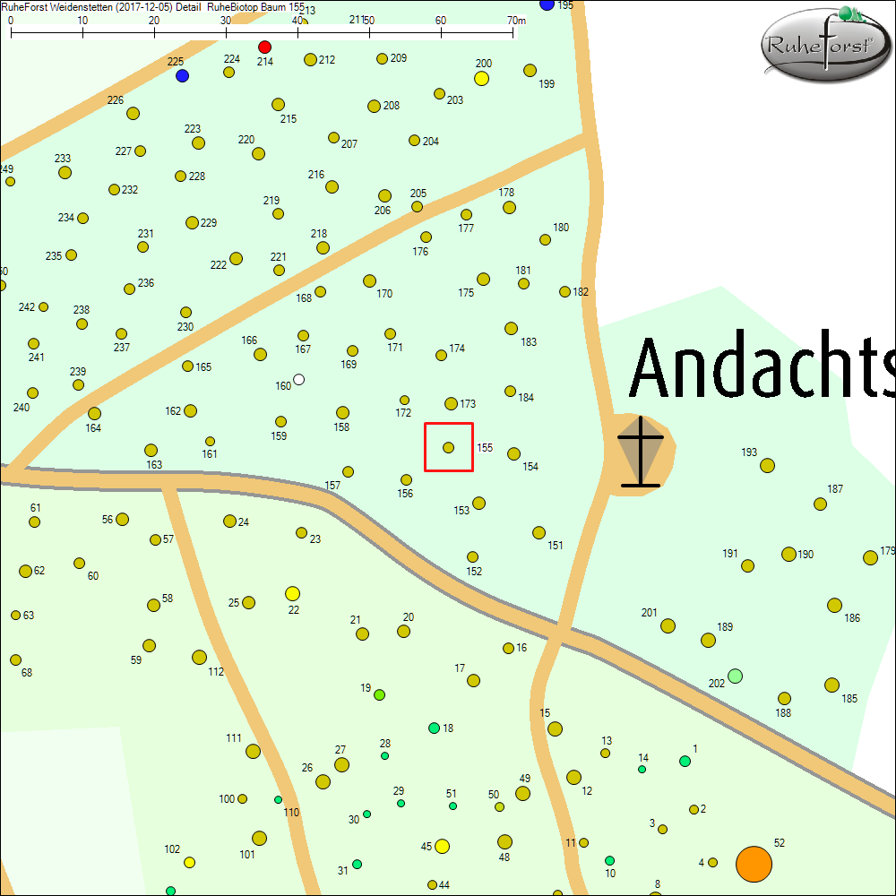 Detailkarte zu Baum 155