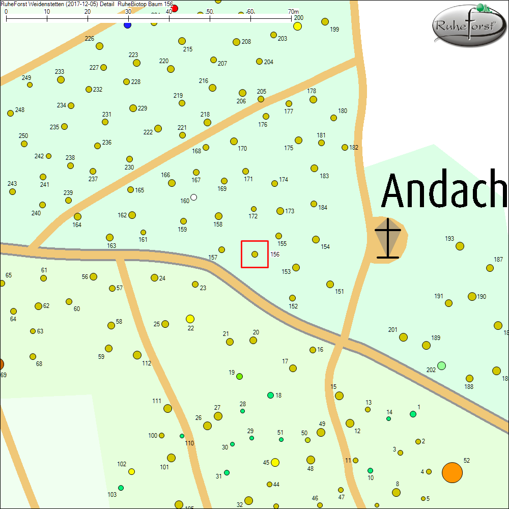 Detailkarte zu Baum 156