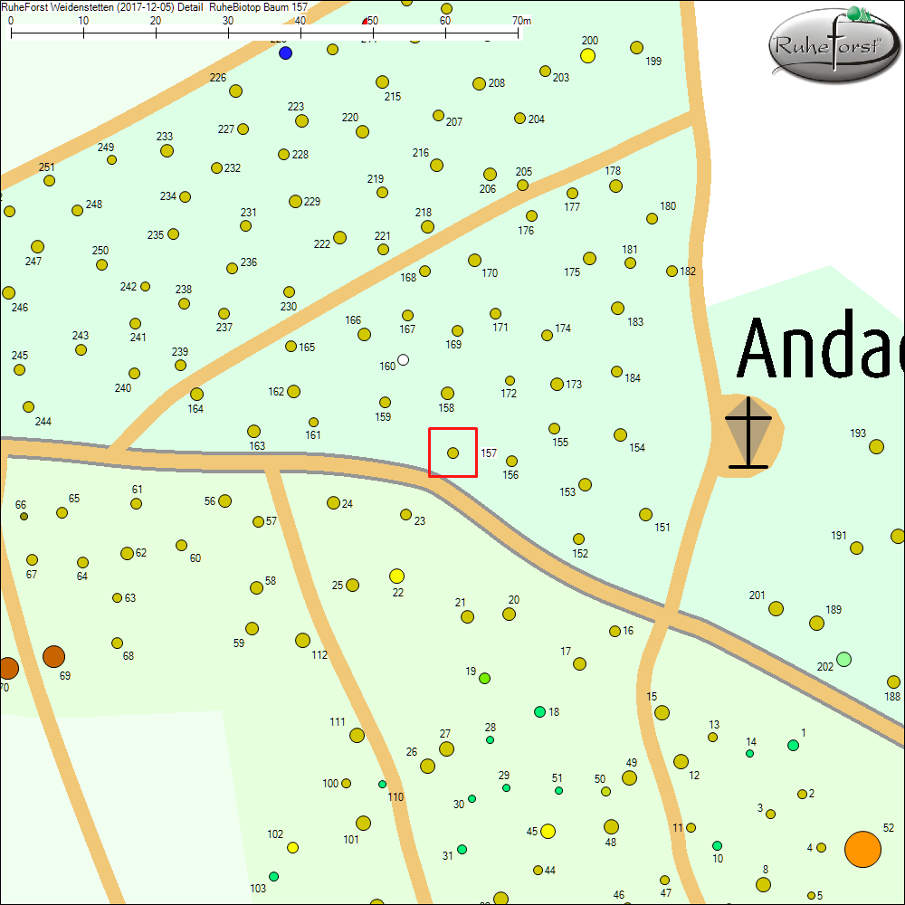 Detailkarte zu Baum 157