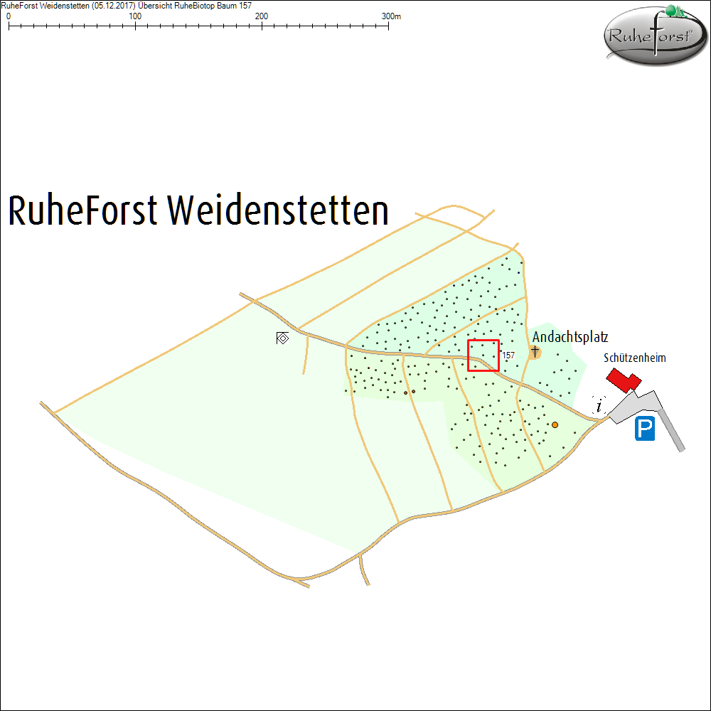 &Uuml;bersichtskarte zu Baum 157