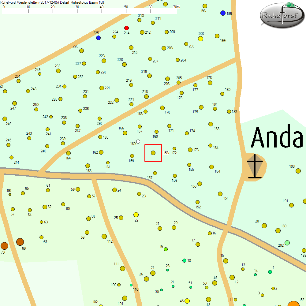 Detailkarte zu Baum 158