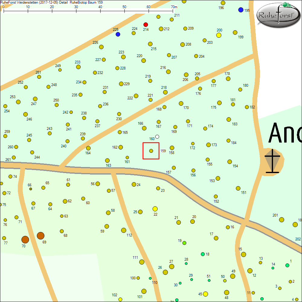 Detailkarte zu Baum 159