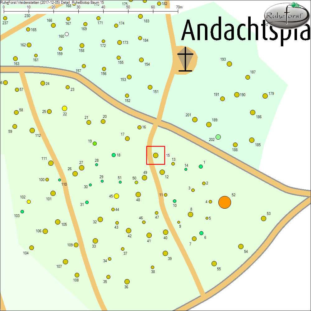 Detailkarte zu Baum 15
