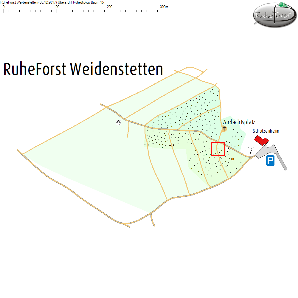&Uuml;bersichtskarte zu Baum 15