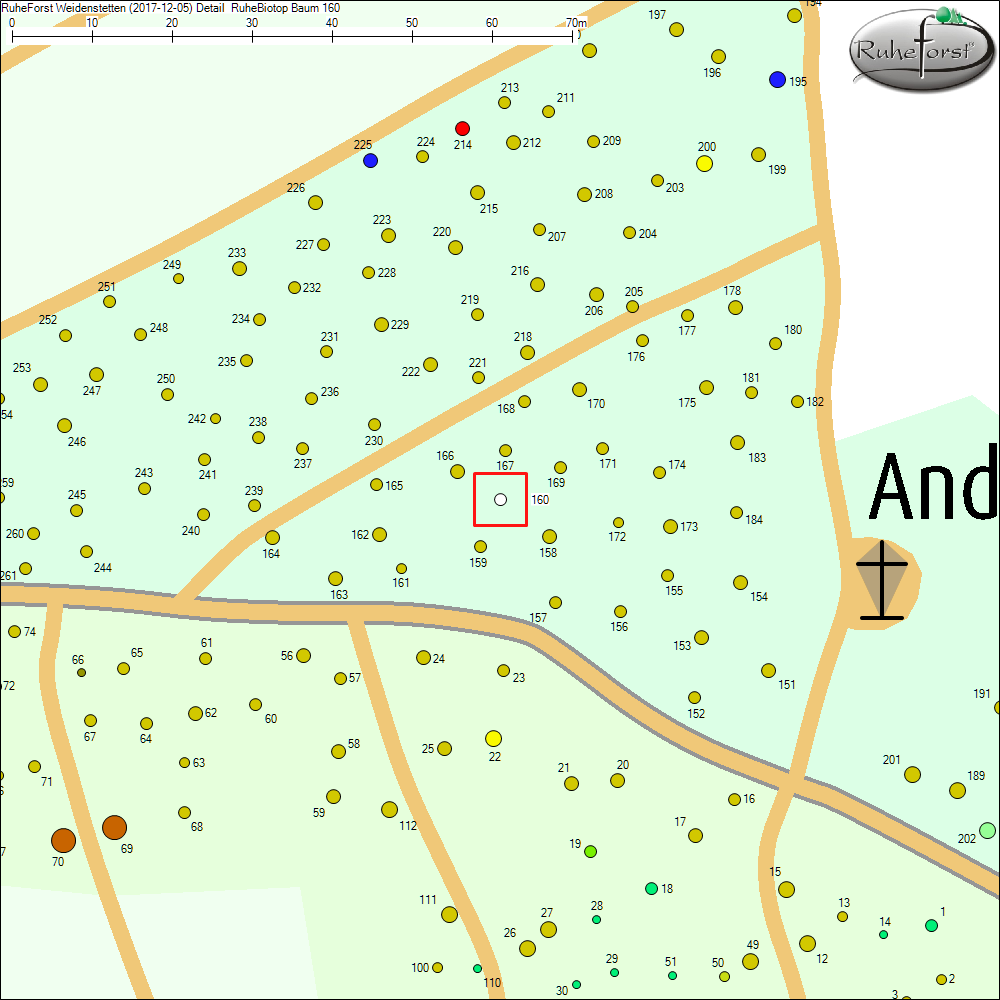 Detailkarte zu Baum 160