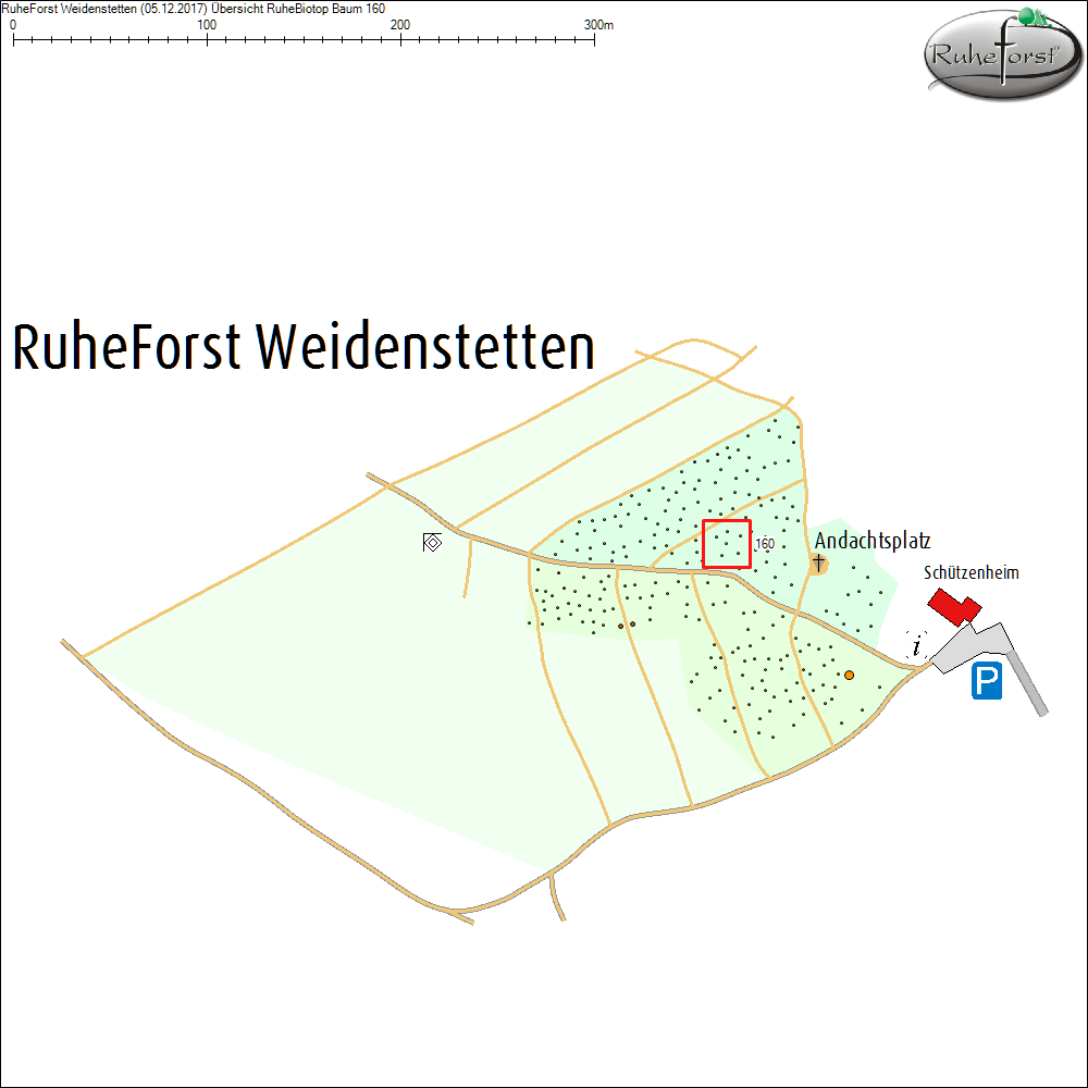 &Uuml;bersichtskarte zu Baum 160
