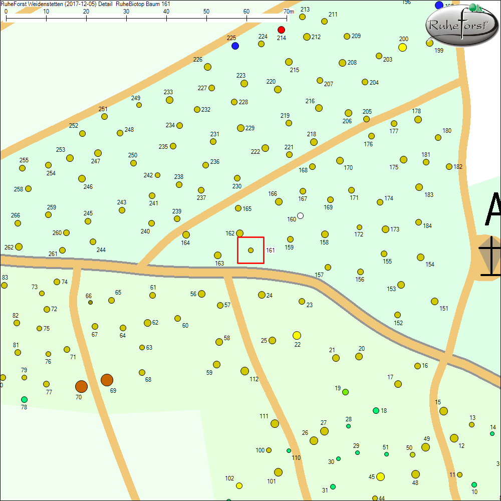 Detailkarte zu Baum 161