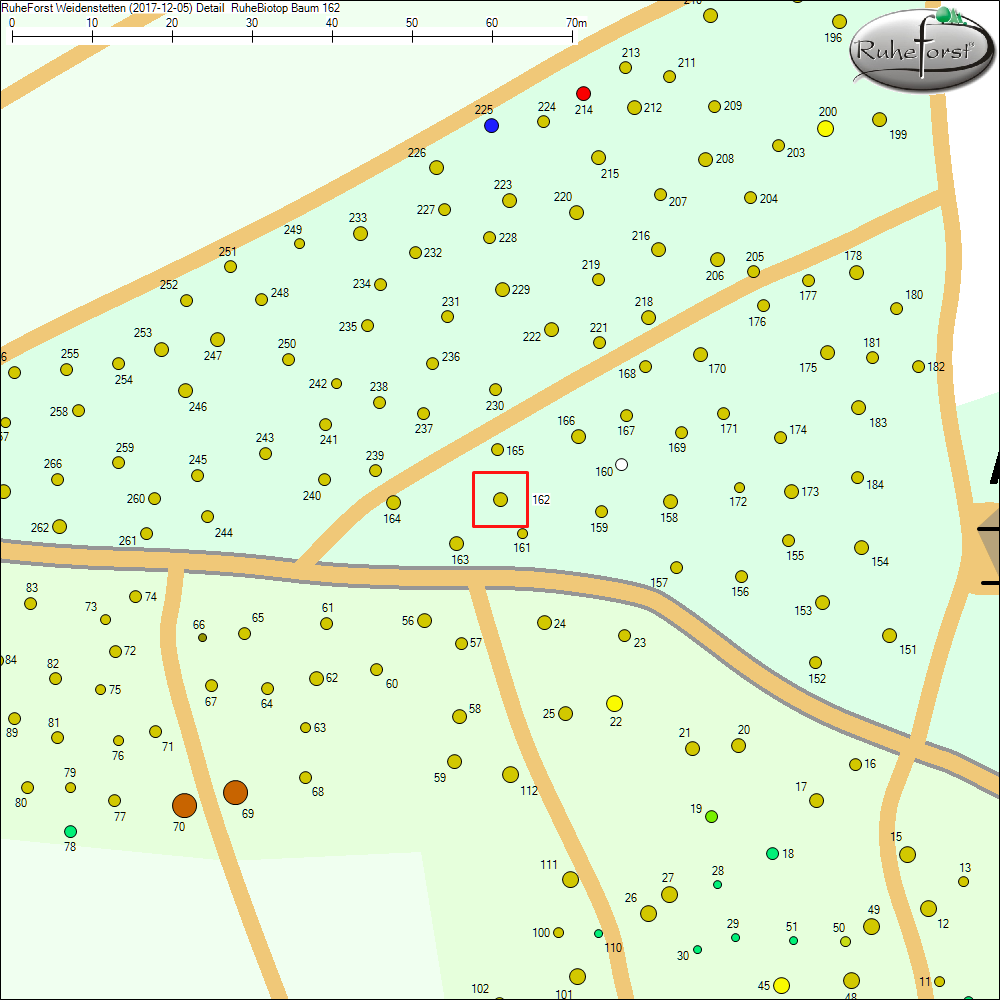 Detailkarte zu Baum 162