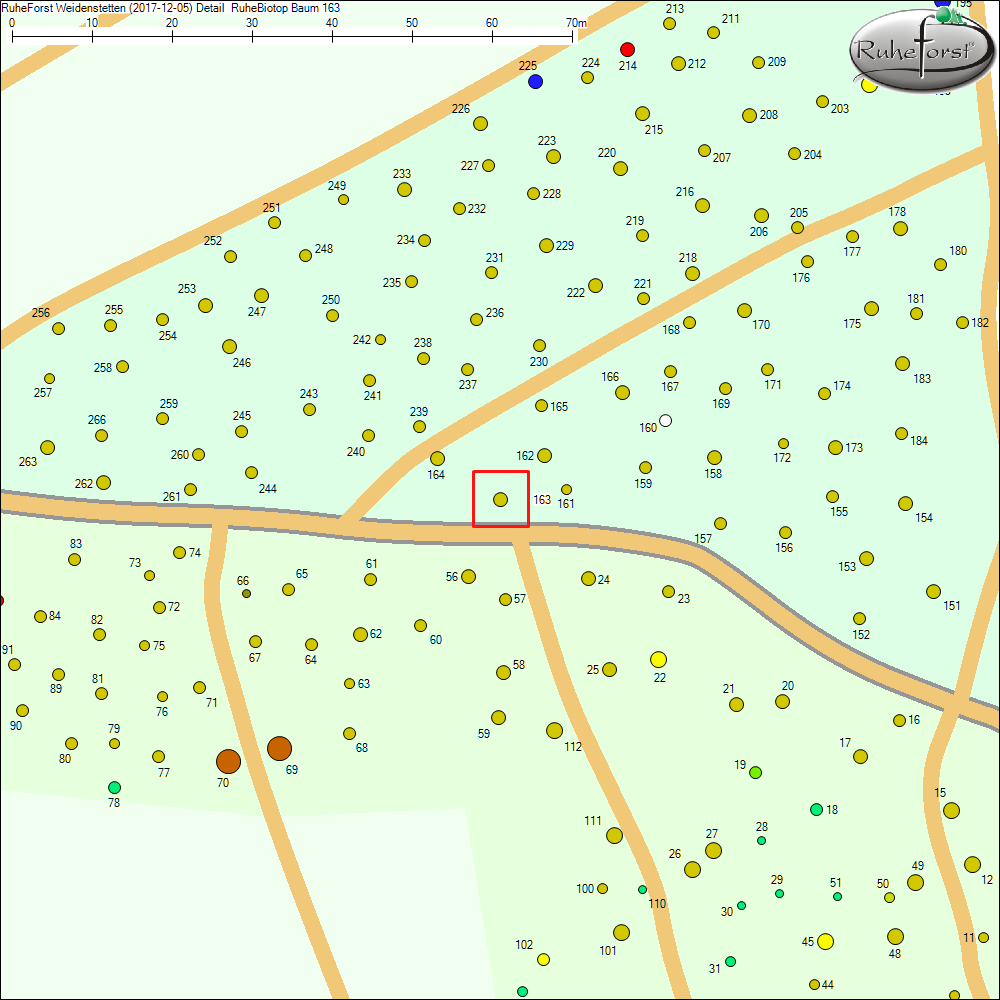 Detailkarte zu Baum 163