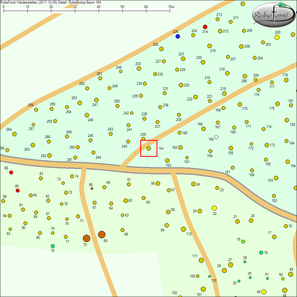 Detailkarte zu Baum 164