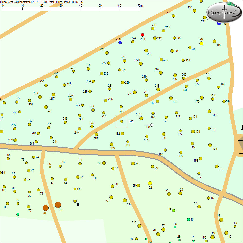 Detailkarte zu Baum 165