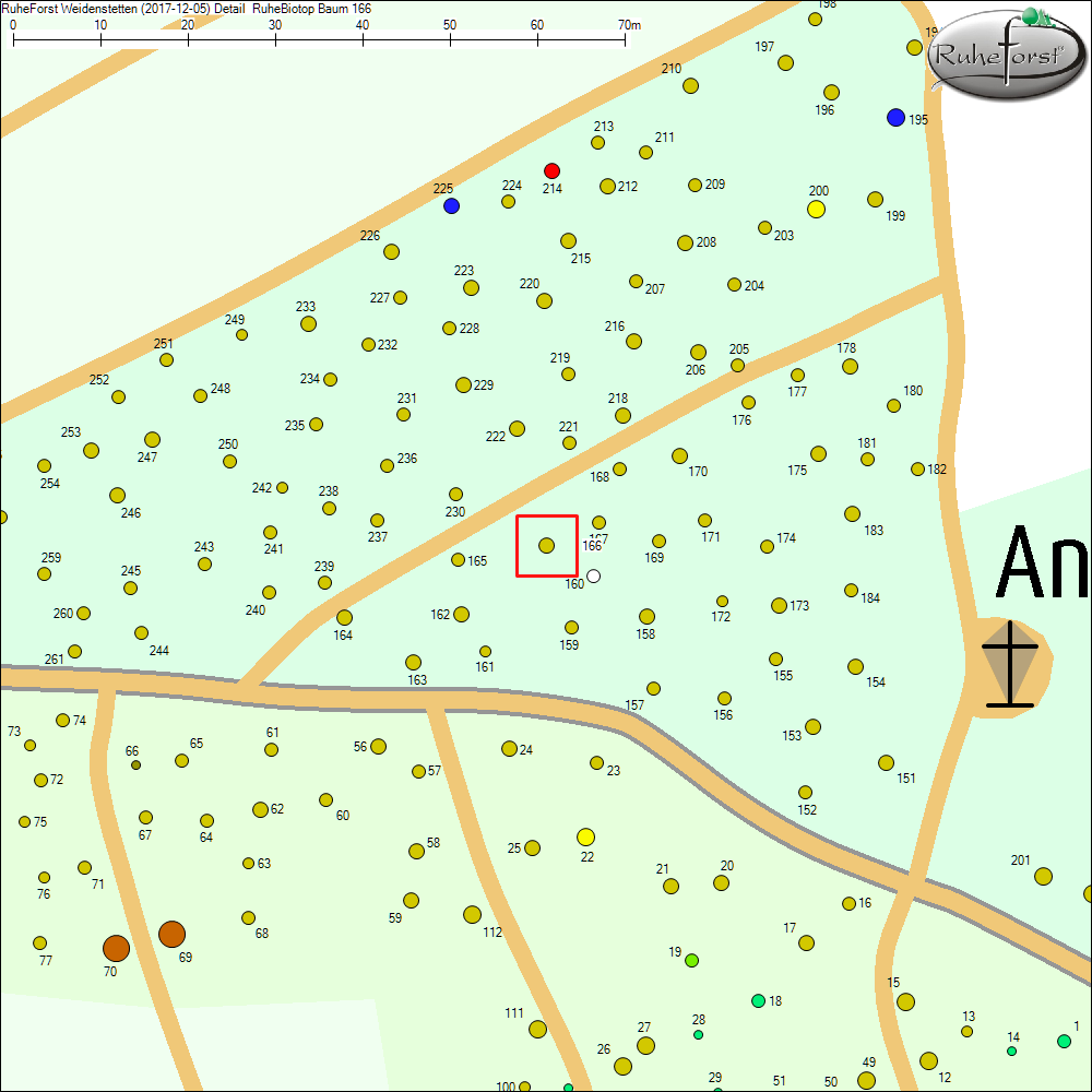 Detailkarte zu Baum 166