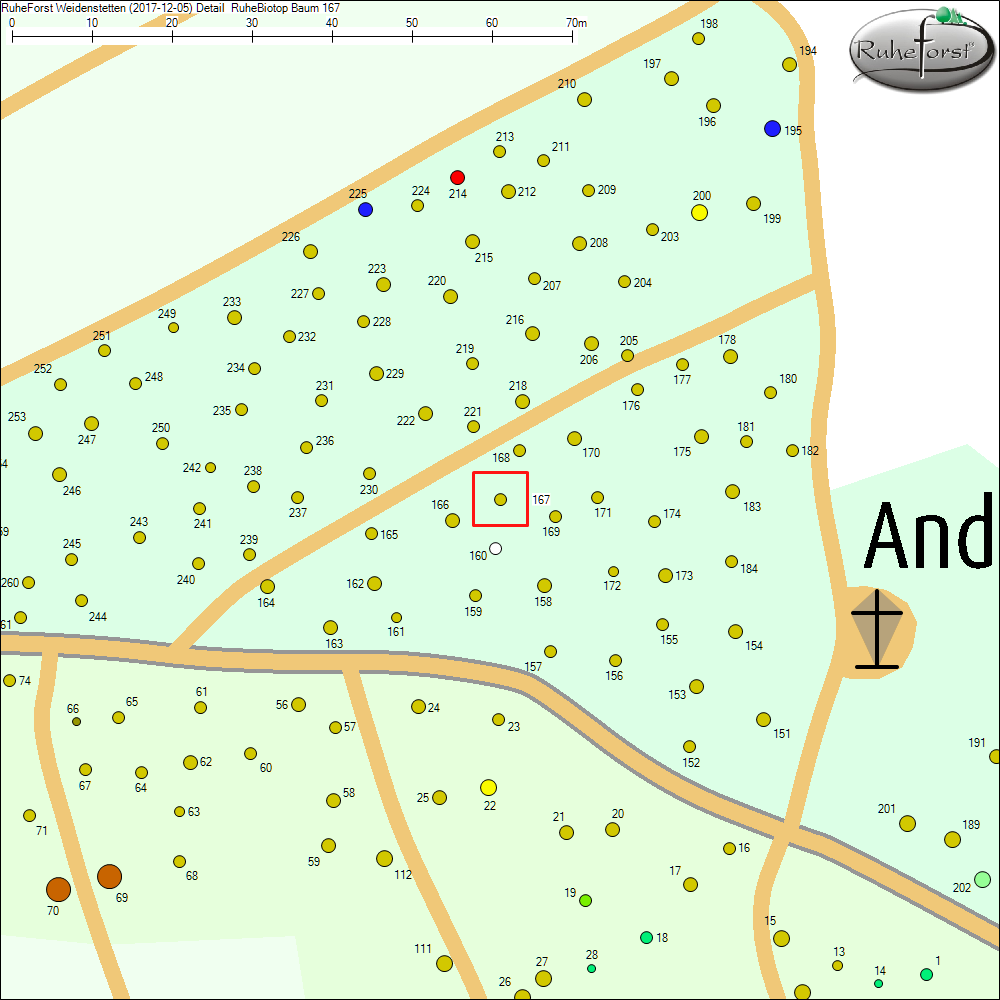 Detailkarte zu Baum 167