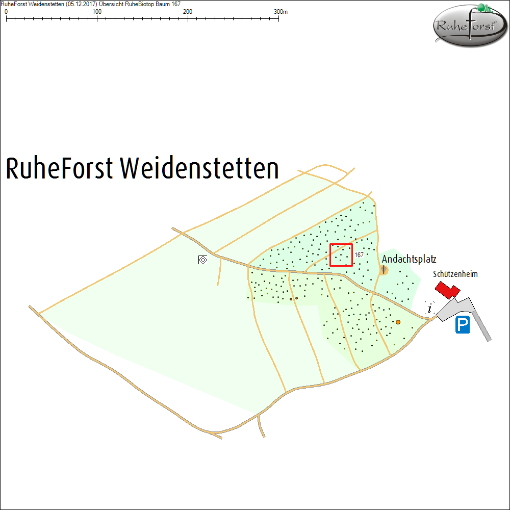 &Uuml;bersichtskarte zu Baum 167